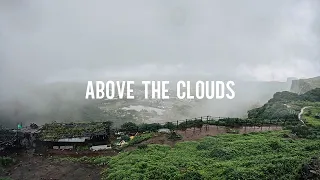 Soothing Rain Sounds from the Forest Above the Clouds | Relax, Fast Sleep, Healing ASMR