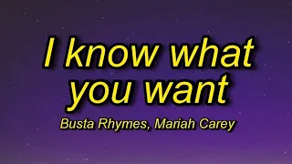 Busta Rhymes, Mariah Carey - I Know What You Want (1 Hour) honey see you looking at me (tiktok song)