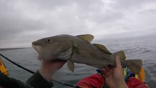 Arbroath cod fishing