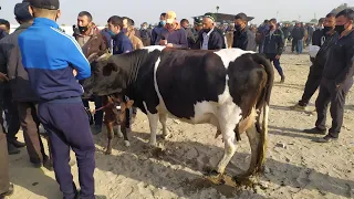 NAMANGAN VILOYATI CHUST MOL BOZOR ENA BOLA SIGIRLAR TO'Y BOB QUCHQORLAR