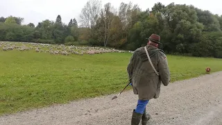 Unterwegs mit einem Wanderschäfer