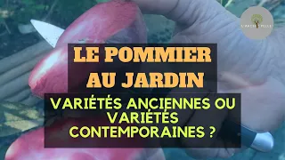 LE POMMIER : variétés anciennes ou contemporaines au jardin ?