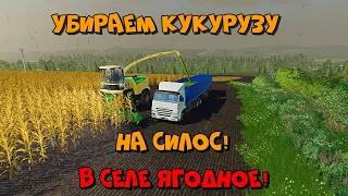 FS19 TimeLapse  Убираем кукурузу на СИЛОС!