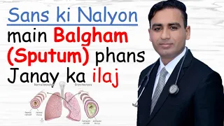 Sans ki iNaliyon main Balgham Phans jana | Sputum in Airways | نالیوں میں بلغم پھنس جانا