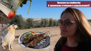 ISRAEL VLOG: Едем за Клубникой | Going to eat Strawberry | #VLOG