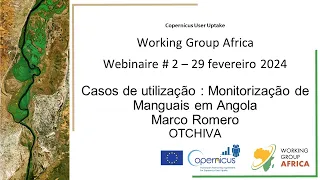 06 Monitorização de Manguais em Angola, Marco Romero, OTCHIVA