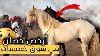 ليوم سوق خاوي شوفوا أرخص حصان شحال داير وأغلى حصان ب 8 مليون 😱 بدريس عندوا خيول حماسية 🔥🔥