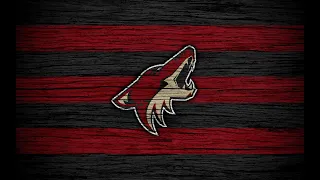 Arizona Coyotes All Goals Stanley Cup Playoffs 2020