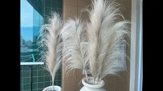 DIY Capim dos Pampas / Pampas Grass / Decoração Boho Chic