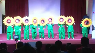 06 sun flower dance