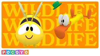 🐝 Earth Hour: Let's Preserve Fauna & Wildlife | Pocoyo English - Official Channel | Help the Planet!