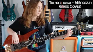 Torna a casa - Måneskin (Bass Cover)