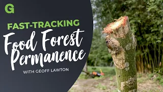 Fast-Tracking Food Forest Permanence