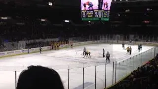 AHL Providence Bruins vs. Worcester Sharks 3/23/14 Hockey Fight