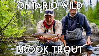 Small River Brook Trout | Northern Ontario