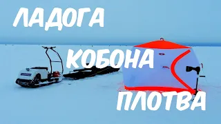 ЛАДОГА,КОБОНА,ПЛОТВА