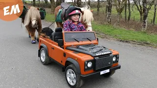 My 4 Yr old Apprentice with Albert & Ernie