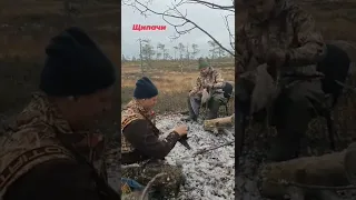 Весь в пуху я , в пуху я. Мало настрелять нужно еще обработать. #охота #hunting #охотанагуся