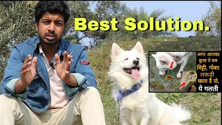 #BestSolution : How to forbid your dog to eat soil, dust, grass & any unwanted things.