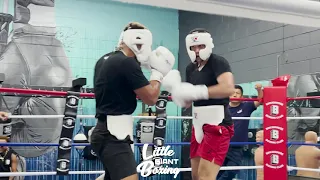 DAVID BENAVIDEZ SPARRING RAUL SALOMON, LOOKING SHARP SPARRING 12 ROUNDS AGAINST 3 DIFFERENT GUYS