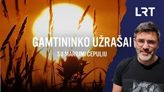 Gamtininko užrašai. Čepulis apie įgyvendintą svajonę nufotografuoti nykstančią meldinę nendrinukę: n