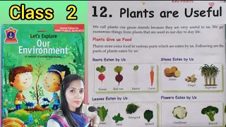 PLANTS ARE USEFUL, Class 2 (Chapter 12 ) # Lets explore our environment # E.V.S