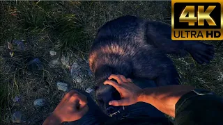 Far Cry 5 All Animals Attack & Bite Animations