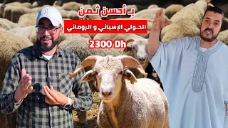 الإقبال موجود في الناظور على الحولي الإسباني و الروماني وهذه هي الأثمنة عند محمد الجـزار