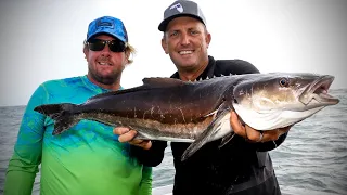 Cobia Fishing with Ultra light Spinners! {Catch Clean Cook} Insane Cobia Sushi ROLL!!