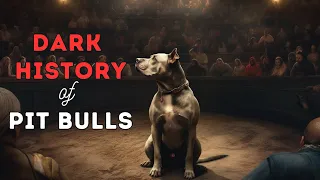 The Dark History of Pitbulls