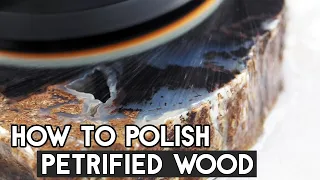 How to Polish Petrified Wood & Rocks Quickly Without a Tumbler