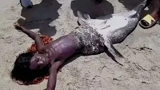 ¡Sorpresa! Encuentran sirena viva en playa de Kenia