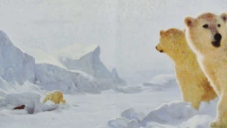 Ice Bear, In the Steps of a Polar Bear Read Aloud