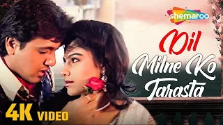 Dil Milne Ko Tarasta Hai | दिल मिलने को तरसता है | Full Hindi Song | Alka Yagnik | Vinod Rathod