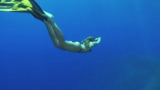 FREE DIVING