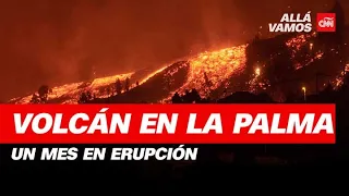 Lava y devastación en La Palma: un mes del volcán Cumbre Vieja en erupción