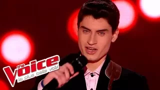 Elvis Presley – Blue Suede Shoes | David Thibault | The Voice France 2015 | Blind Audition