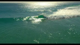 Surfing Pristine Tea Tree Bay in Noosa National Park 8th July 2019