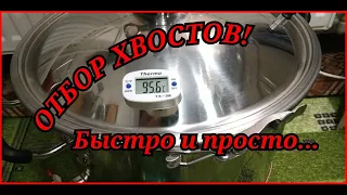 БЫСТРЫЙ ОТБОР ХВОСТОВ!