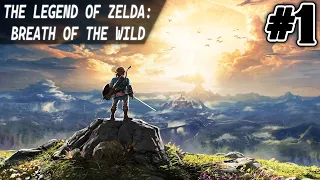 The Legend Of Zelda: Breath Of The Wild #1