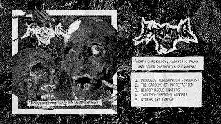 Impending Rot - Death Chronology, Cadaveric Fauna And Other... FULL EP (2022- Goregrind/Death Metal)