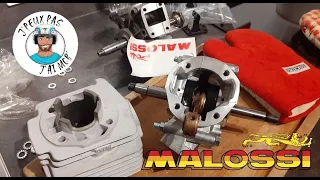 Je Gratte mes Carters Moteur pour le Kit Malossi G1 Réplica - Montage du Moteur