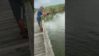 Рыбалка с рогаткой
