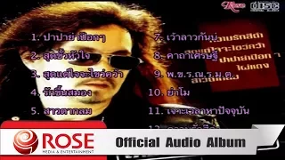 รวมฮิต - เทียรี่ เมฆวัฒนา (Official Audio Album)