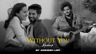 Without You Mashup | Tera Zikr x Dekhte Dekhte | Animesh Lofi | Emotion Chillout 2024