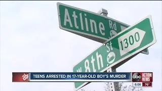 Lakeland teenager's murder marks rise of gang violence in neighborhood