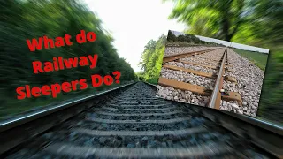 What Do Railway Sleepers Do? A Beginners Guide to the Important Jobs They Do