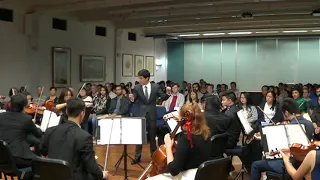 Music from the Lord of the Rings - String Orchestra