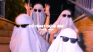 Dil Cheez Tujhe Dedi (slowed+ reverb)