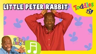 Little Peter Rabbit | SILLY SONGS  | Toddles TV